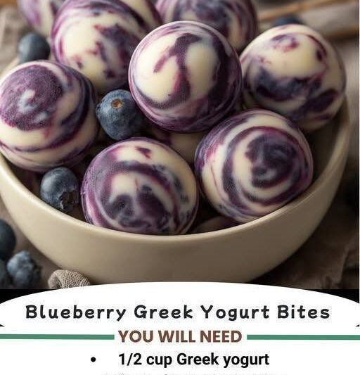 Blueberry Greek Yogurt Bite
